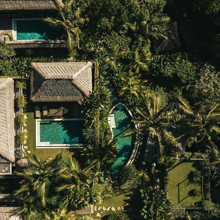 우붓 뉴 발리 리조트&스파 외부 사진 Aerial view of the resort