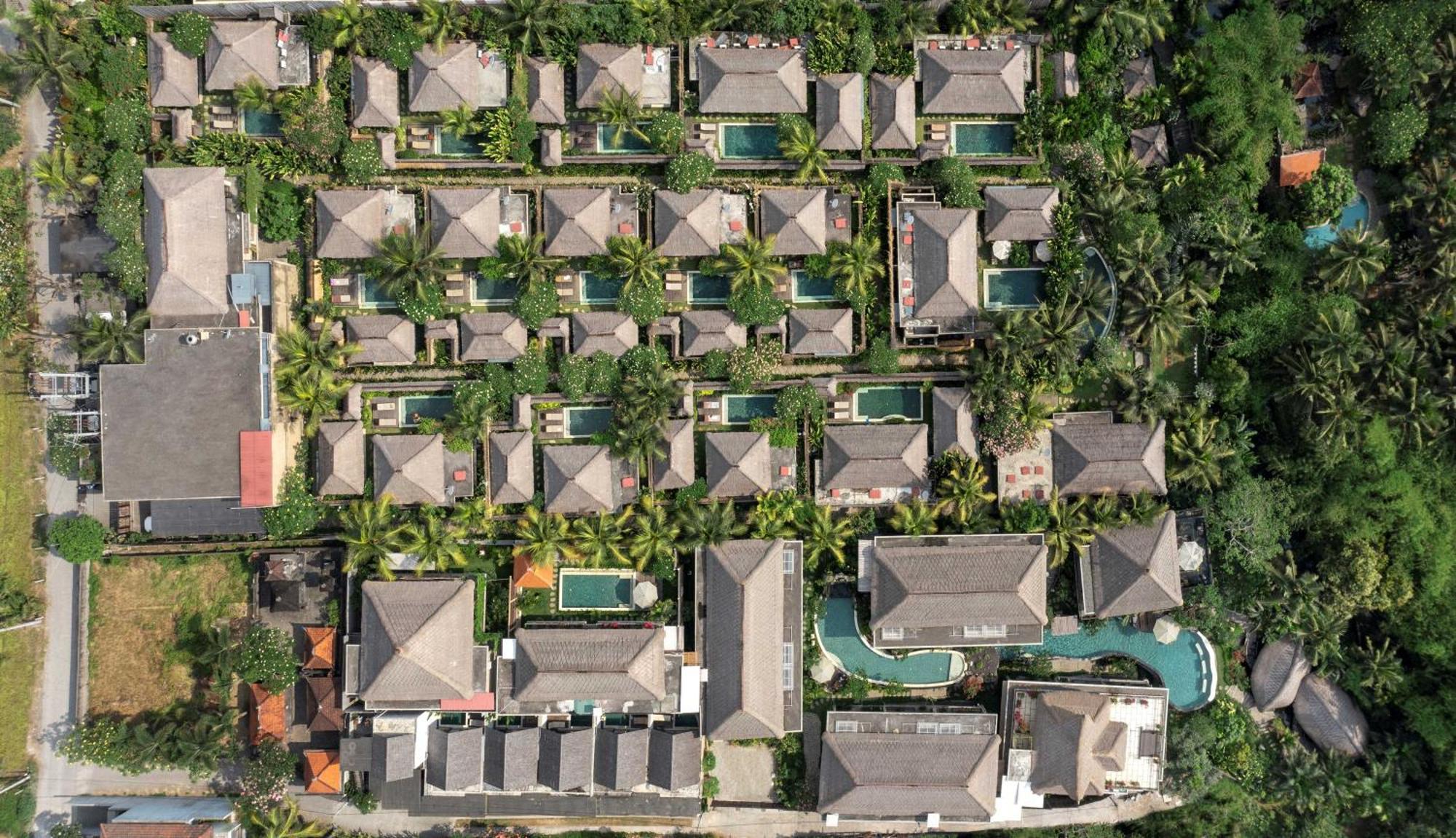 우붓 뉴 발리 리조트&스파 외부 사진 Aerial view of the resort