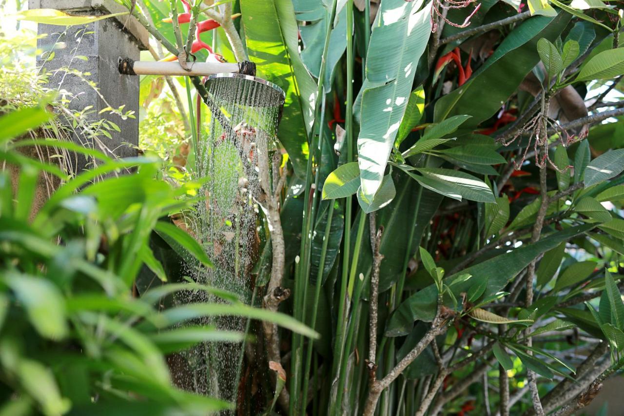 우붓 뉴 발리 리조트&스파 외부 사진 Banana plants